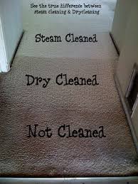 carpetcleaning15